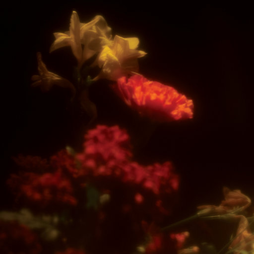 污污视频在线下载网页
